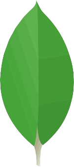 MongoDB logo